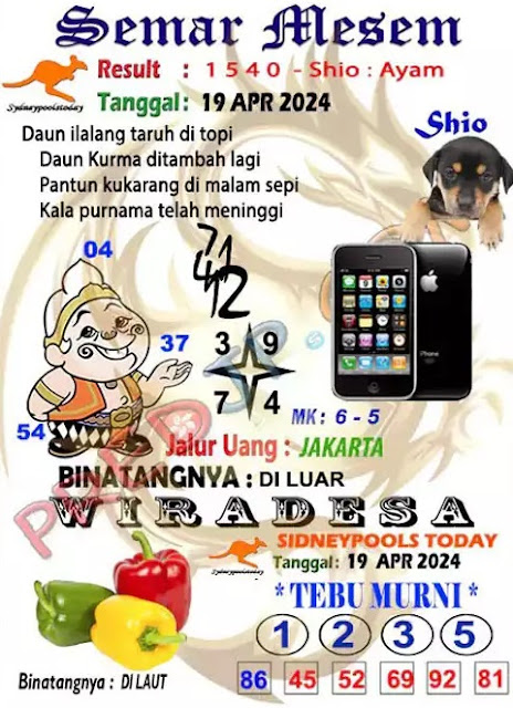SYAIR SDY VIP
